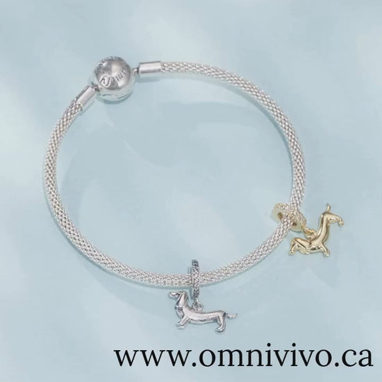 Elegant flower cluster leverback earrings in 18K white gold plating, set with AAA zircon crystals for diamond-like sparkle; lifestyle close-up video — OmniVivo